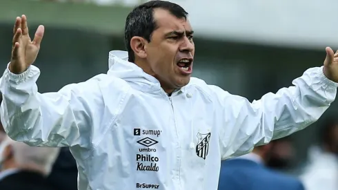 (Photo by Alexandre Schneider/Getty Images,)