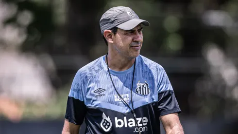 Carille deve utilizar o jogador na 2ª fase do Paulistão (Foto: Raul Baretta/ Santos FC/ Divulgação)