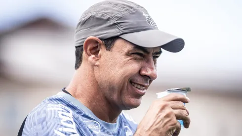 Fábio Carille. foto: raul baretta/santos fc