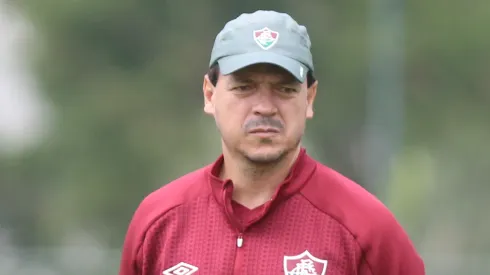 Reforço está sendo pouco utilizado por Diniz (Foto: Fluminense/Divulgação)