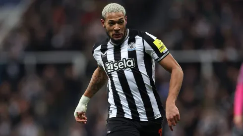 Joelinton of Newcastle United . (Photo by Michael Steele/Getty Images)