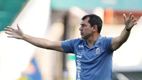 Carille não terá pedido atendido no Santos. Foto: Pedro Ernesto Guerra Azevedo/Santos