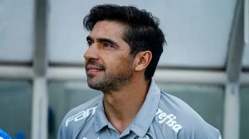 Abel Ferreira terá dois refroços de peso para a sequência da temporada.