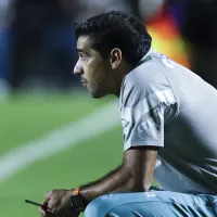 Abel Ferreira tem retorno de atleta que pode ser novidade na Copa do Brasil