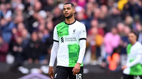Cody Gakpo of Liverpool. (Photo by Justin Setterfield/Getty Images)