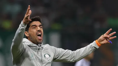 Abel reclamou de defeito do Verdão (Foto: Cesar Greco/Palmeiras/Divulgação)