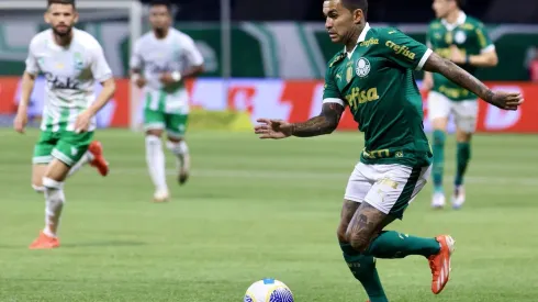 Dudu em campo pelo Palmeiras na vitória do time contra o Juventude pelo Brasileirão. (Associated Press / Alamy Stock Photo)