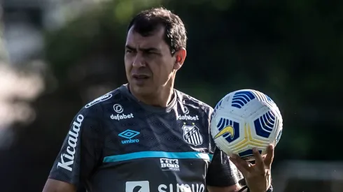 Carille entrou na mira do Timão (Foto: Iavn Storti/Santos FC/Divulgação)