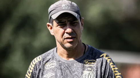 Carille se manifestou em entrevista Carille quebrou o silêncio em entrevista (Foto: Raul Baretta/ Santos FC/ Divulgação)