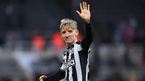 Anthony Gordon é alvo do Liverpool. (Photo by Stu Forster/Getty Images)