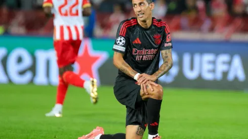 Di Maria em ação na partida entre Estrela Vermelha e Benfica na Liga dos Campeões, no dia 19 de setembro de 2024. (Dimitrije Vasiljevic / Alamy Stock Photo)