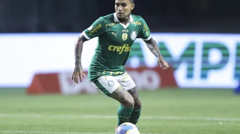 Dudu, atacante do Palmeiras pode parar no Santos - (Photo by Alexandre Schneider/Getty Images)