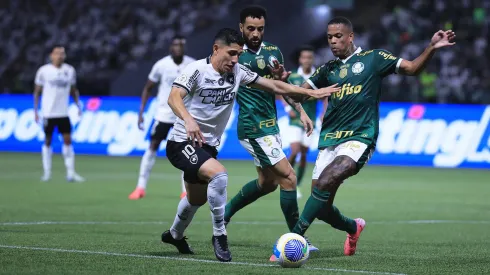 Jogo entre Palmeiras e Botafogo. Atlético-MG sondou a situação de Caio Paulista.