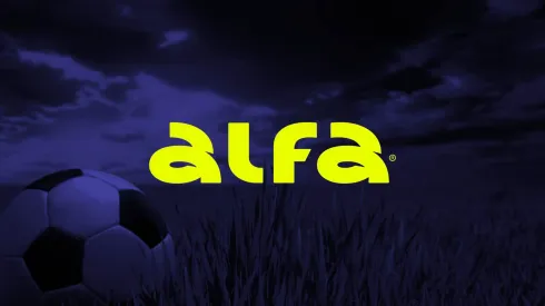 Confira nosso review completo da Alfabet
