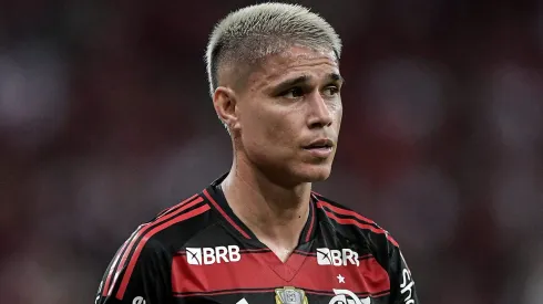 Luiz Araújo, jogador do Flamengo. Thiago Ribeiro/AGIF