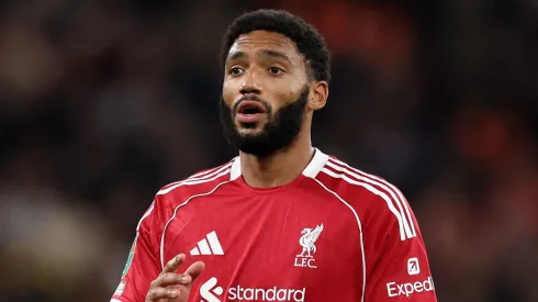 (Photo by Jan Kruger/Getty Images)