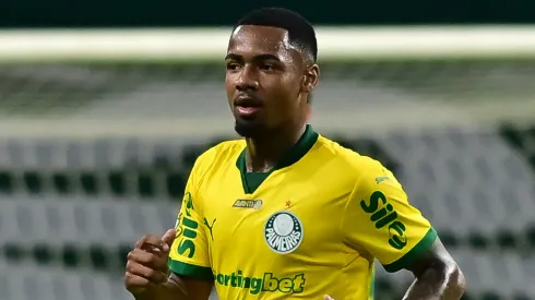 Allan em jogo do Palmeiras. (Foto: Jota Erre/AGIF)