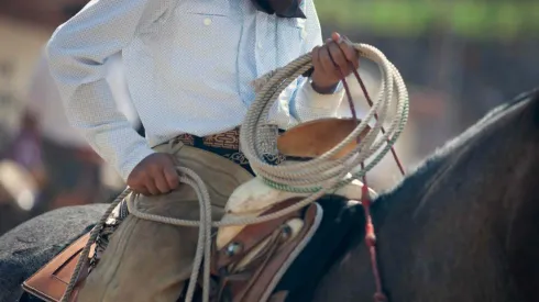 Veja onde encontrar os mercados para apostar em vaquejada