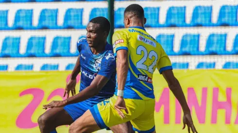 Black Bulls em ação na última temporada. Foto: Black Bulls