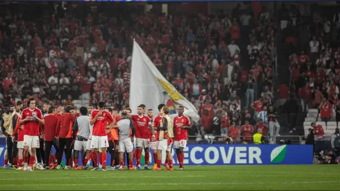 Benfica defrontará o Nacional em dezembro. Foto: Imago