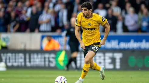 Gonçalo Guedes, avançado do Wolves. Foto: Imago