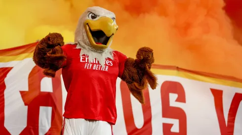 O Benfica tentará passar mais uma eliminatória da Taça de Portugal, desta vez contra o Estrela da Amadora. Foto: Imago