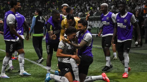 Jogadores do Botafogo a comemorem um dos golos contra o Palmeiras. Foto: Imago