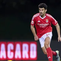 Tomás Araújo prepara-se para renovar com o Benfica por mais uma temporada
