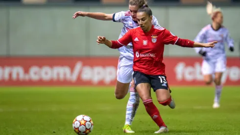 Michaela Merk / Alamy Stock Photo