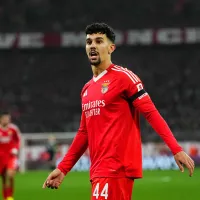Tomás Araújo e Hjulmand eleitos para a equipa do mês da Liga Portugal