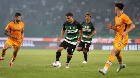 Alexandre Sousa / Alamy Stock Photo