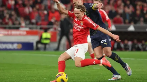 Schjelderup em ação pelo Benfica na Liga Portugal. Foto: SLB