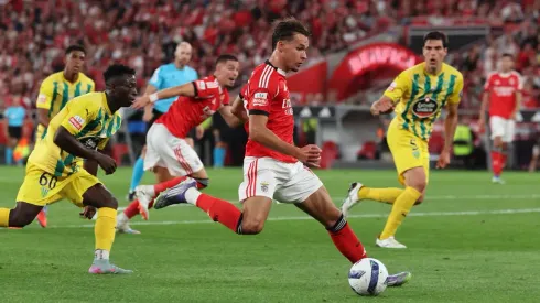 Amar Dedic no Benfica x Tondela. Foto: SL Benfica