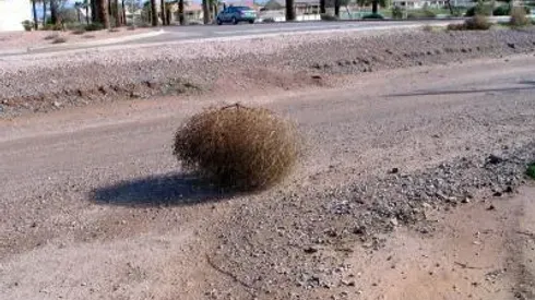 MLS, Players Union Still Talking...For Now