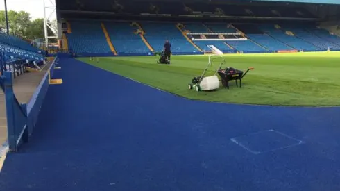 Sheffield Wednesday supporters feeling optimistic