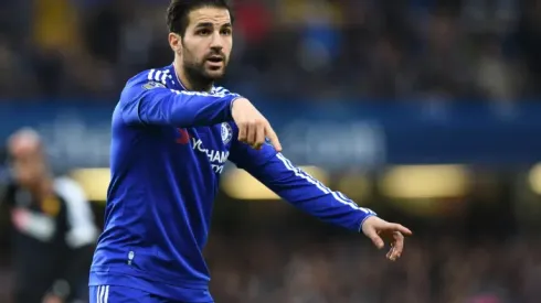 Chelsea's Cesc Fabregas is staying put, says Guus Hiddink