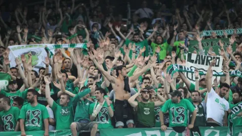 Gilberto Silva joins Panathinaikos as technical director