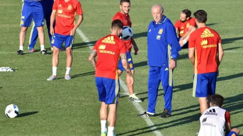 Only Euro 'three-peat' satisfies Spain's coach Del Bosque