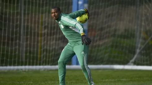 Nigeria lose goalkeeper Akpeyi to injury