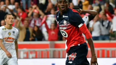 Nigeria's Osimhen scores again as Lille beat Angers