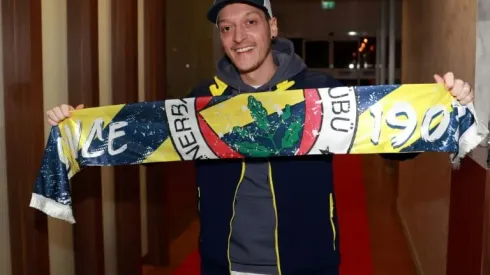 Ozil adds spice to German minister's trip to Turkey