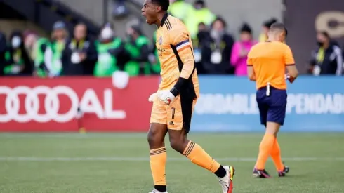 Johnson the hero as City fell Timbers to win MLS Cup