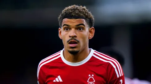 Gibbs-White emerges as the talisman of the trees at Forest
