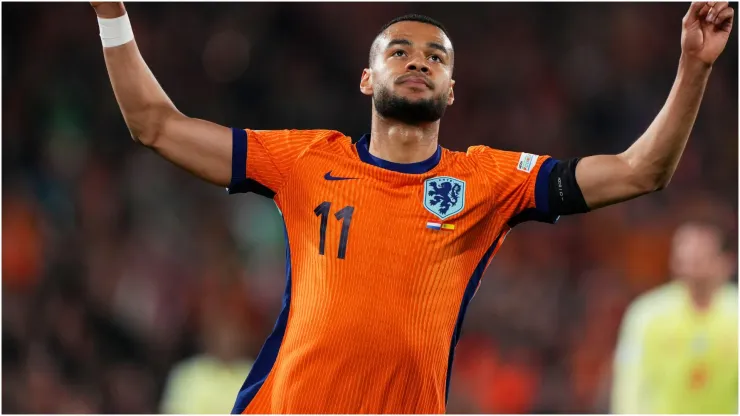 Cody Gakpo of Netherlands