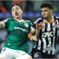 How to watch Santos vs Palmeiras in the USA: Live Stream and TV for 2025 Brasileirao