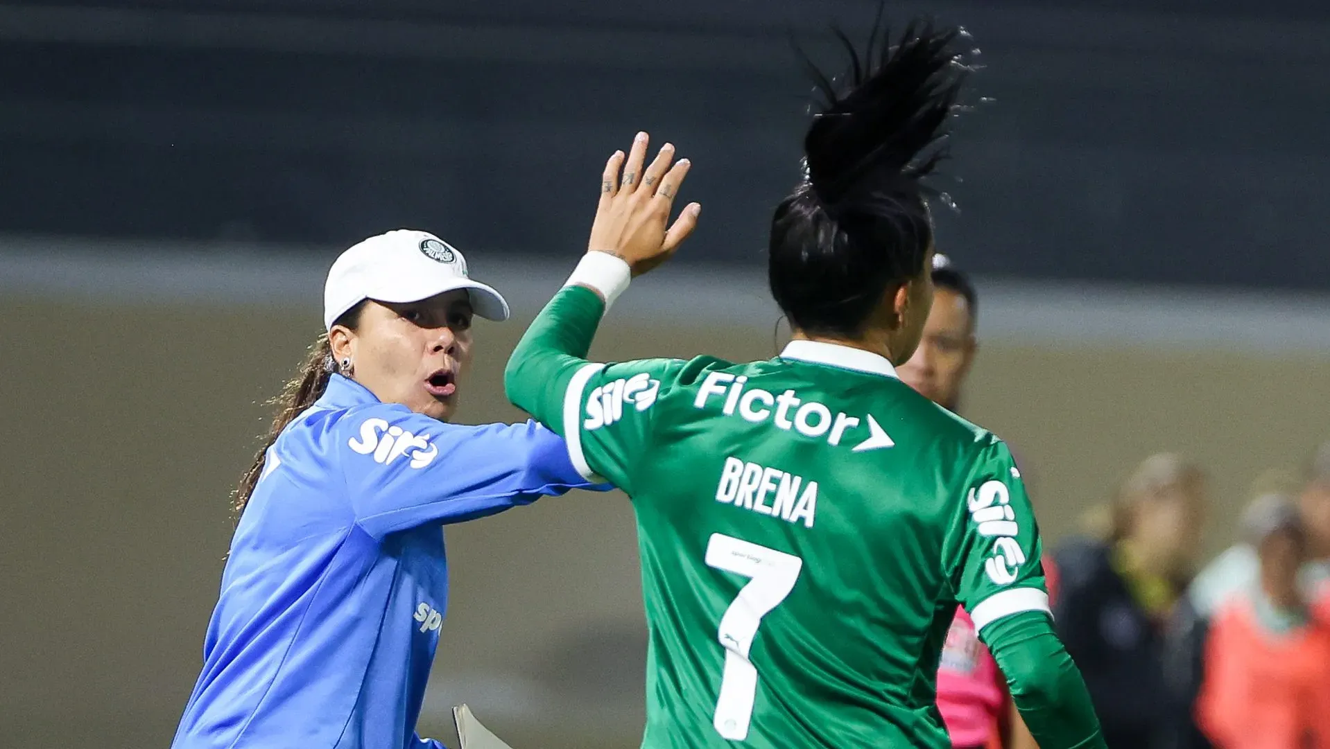 Palmeiras Feminino