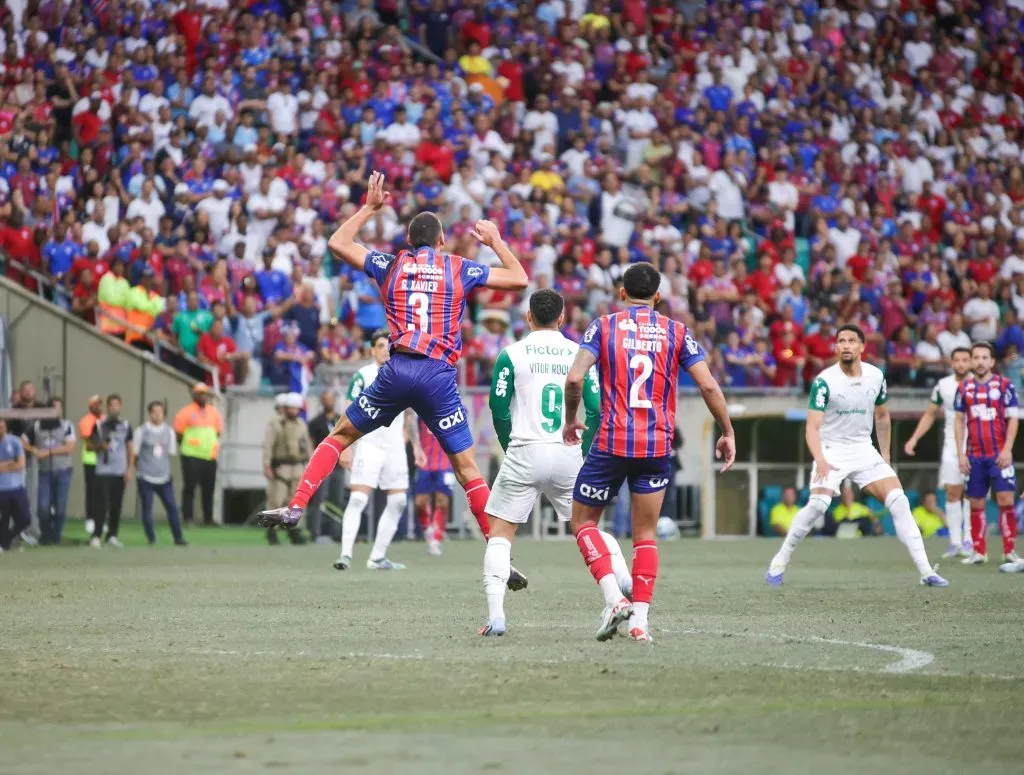 Jogadores do Palmeiras e Bahia no estadio Fonte Nova pelo campeonato Brasileiro A 2025. Foto: Marcio Jose/AGIF