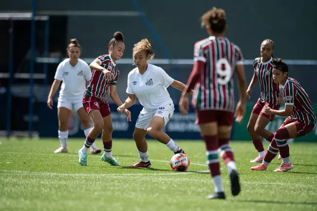 Santos e Fluminense se enfrentaram na Ibrachina Arena - Foto: Renato pizzuto/Ag.Paulistão