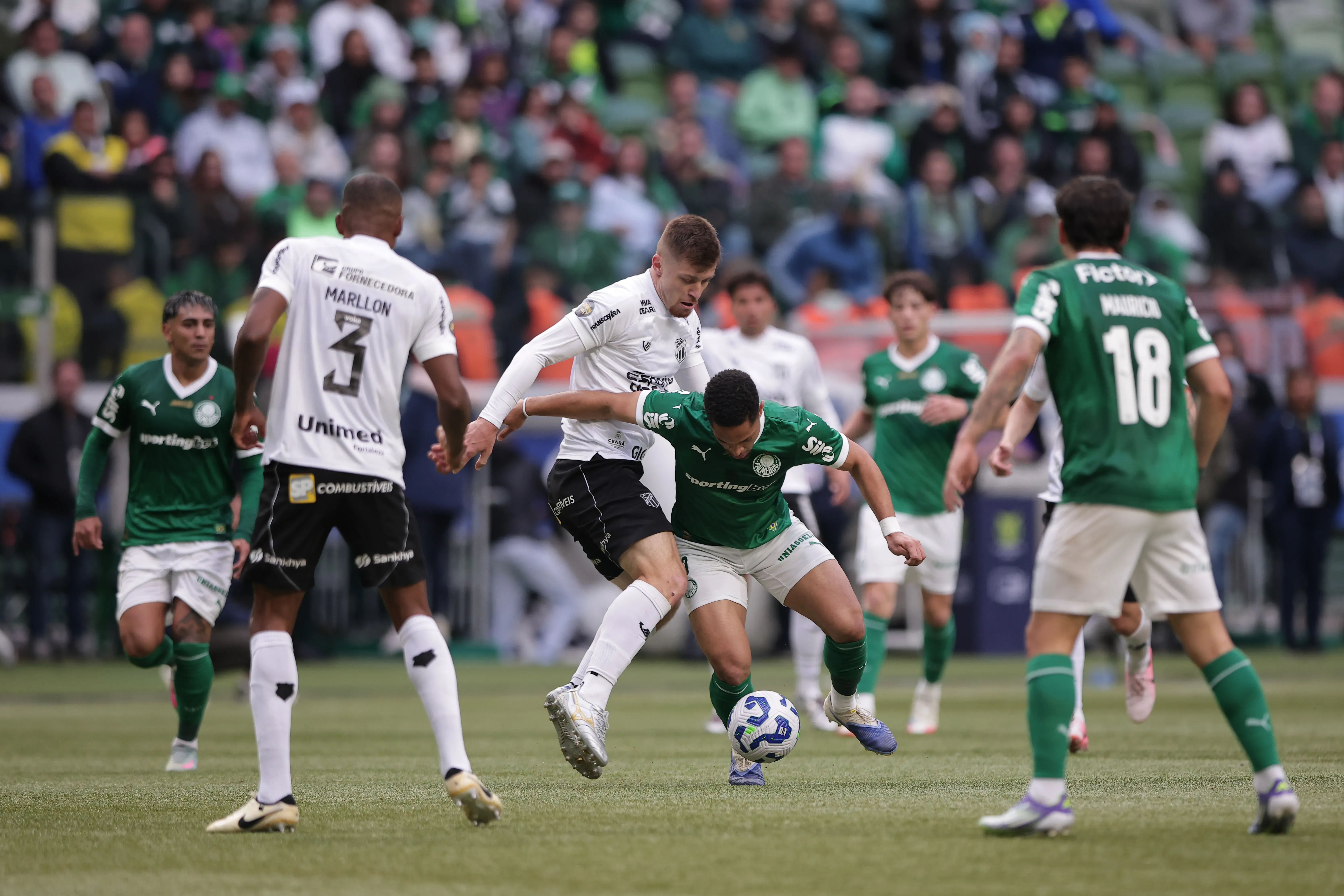 Willian Machado em Palmeiras x Ceará pelo Brasileirão 2025. Foto: Ettore Chiereguini/AGIF