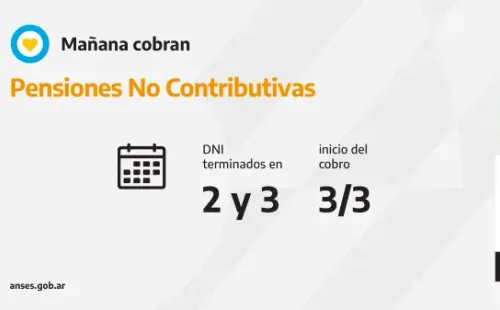 Pensiones No Contributivas